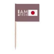I Am From Japan Art Deco  Fashion Toothpick Flags Marker Topper Party Decoration