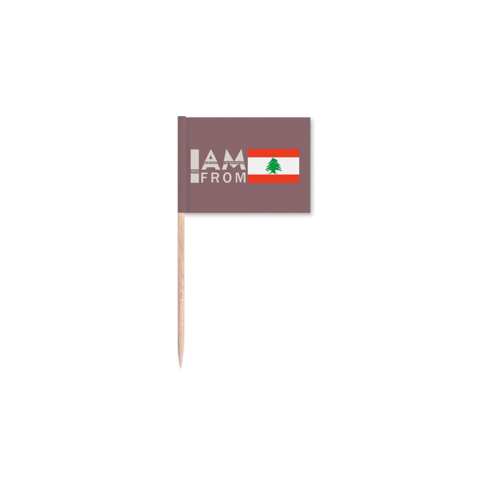 I Am From Lebanon Art Deco  Fashion Toothpick Flags Marker Topper Party Decoration-image-OPC-PFKQSNK-NEW