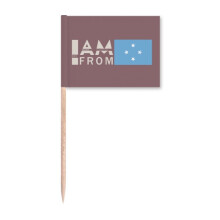I Am From Moldova Art Deco  Fashion Toothpick Flags Marker Topper Party Decoration