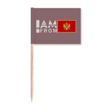 I Am From Montenegro Art Deco Fashion Toothpick Flags Marker Topper Party Decoration
