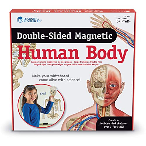 Learning Resources Learning Resources Double-Sided Magnetic Human Body  3 Foot Tall  17 P 1