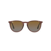 Ray-Ban RB4171 Erika Round Sunglasses Transparent Dark Brown/Polarize