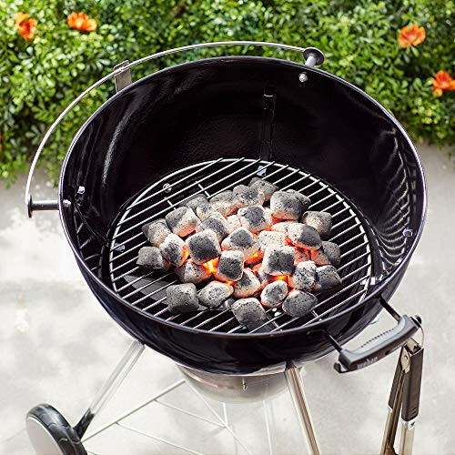 Weber Weber 7441 udskiftning af tr?kulsriste 17 tommer 2