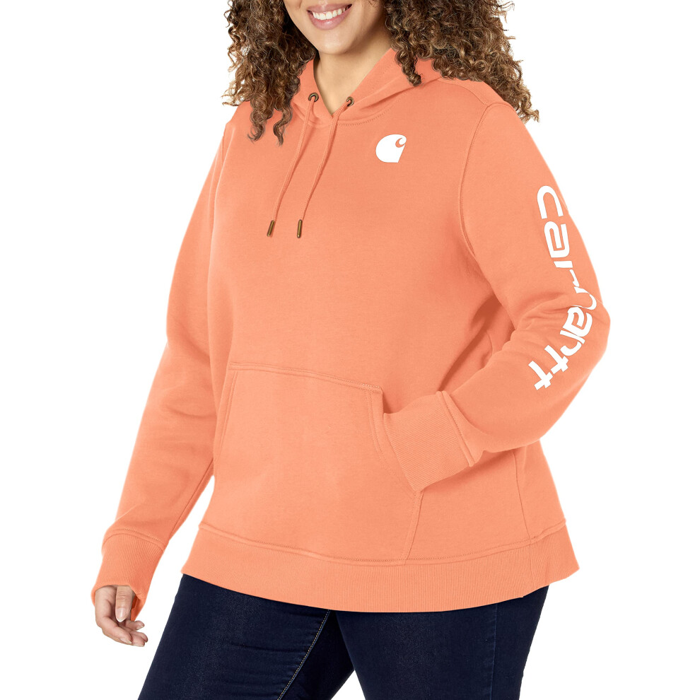 carharttwomensclarksburg graphic Sleeve Pullover Sweatshirt (Plus Size