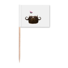 Men Women Beards Eyebrows Eyes Toothpick Flags Marker Topper Party Decoration