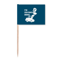 Nine Excavator Project Birthday Toothpick Flags Marker Topper Party Decoration