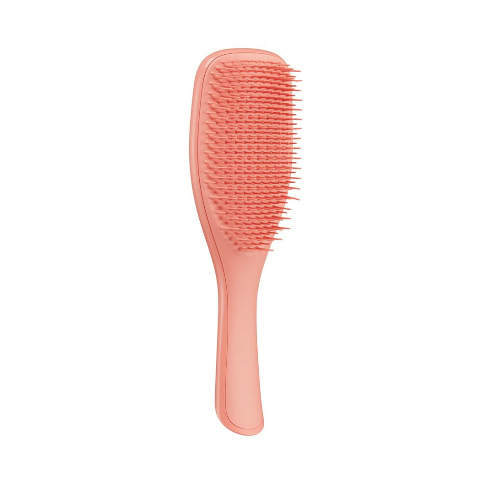 Tangle Teezer The Fine And Fragile Detangling Hairbrush For Wet & Dry