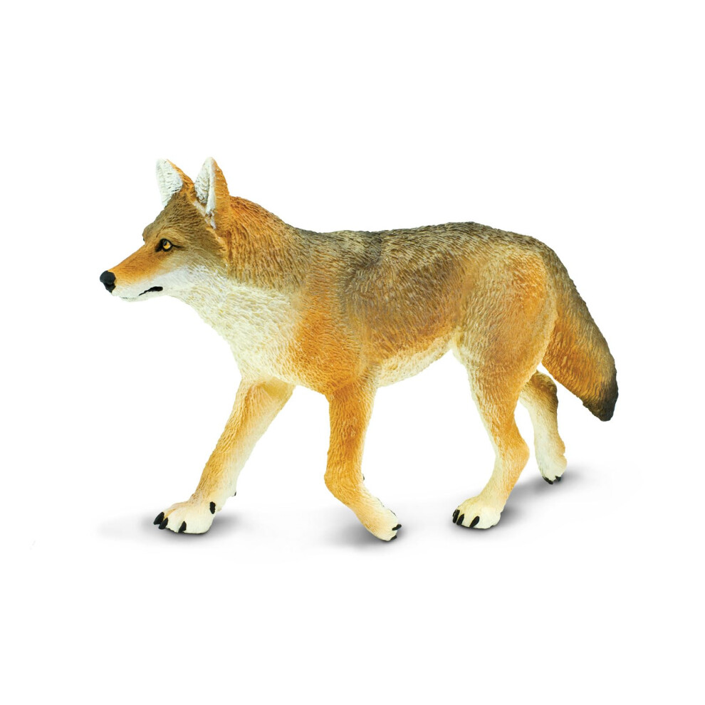 Safari Ltd. Coyote Toy Figurine - Detailed 6.5"" Plastic Model Figure