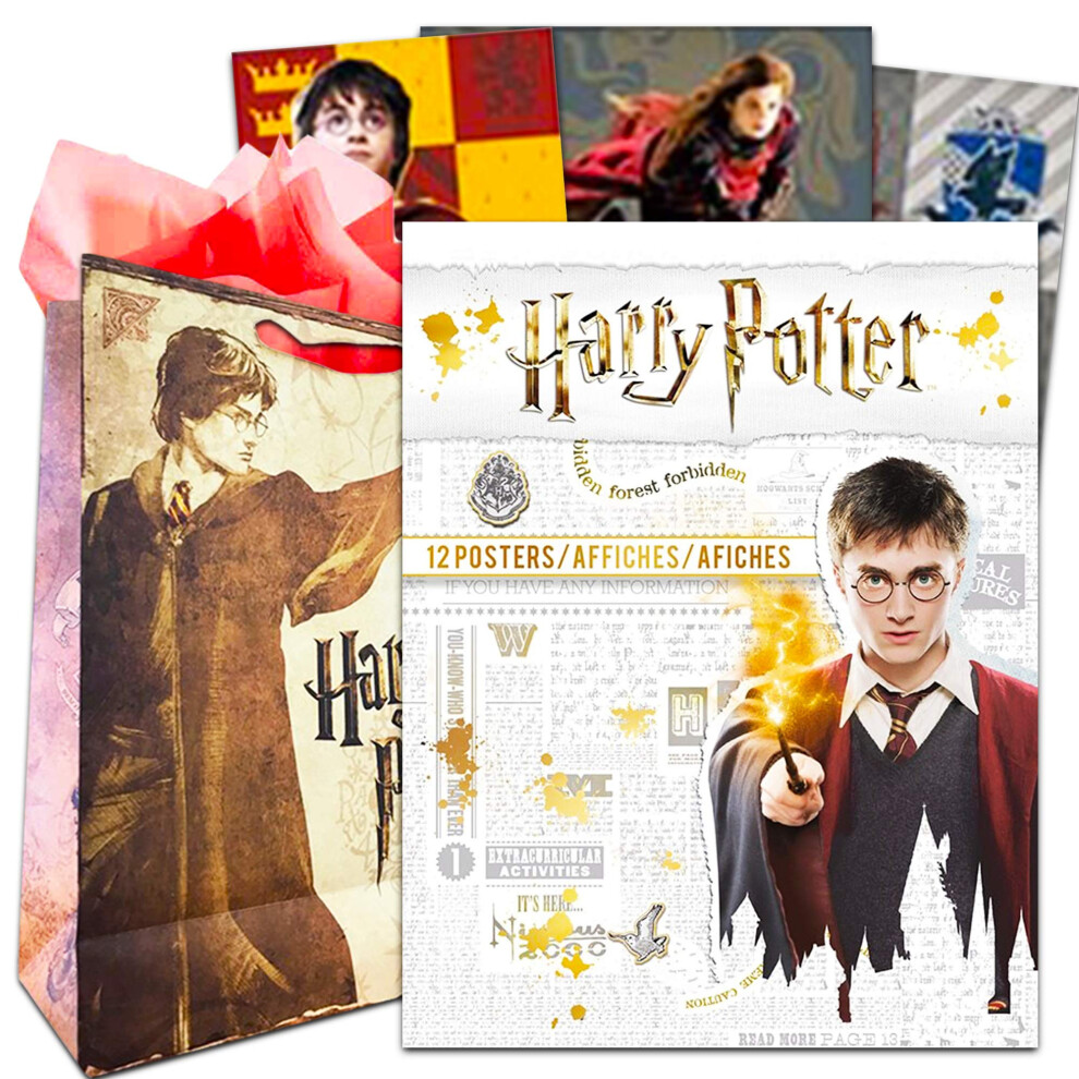 Harry Potter Poster Book Super Set ~ 12 Harry Potter Posters Featuring