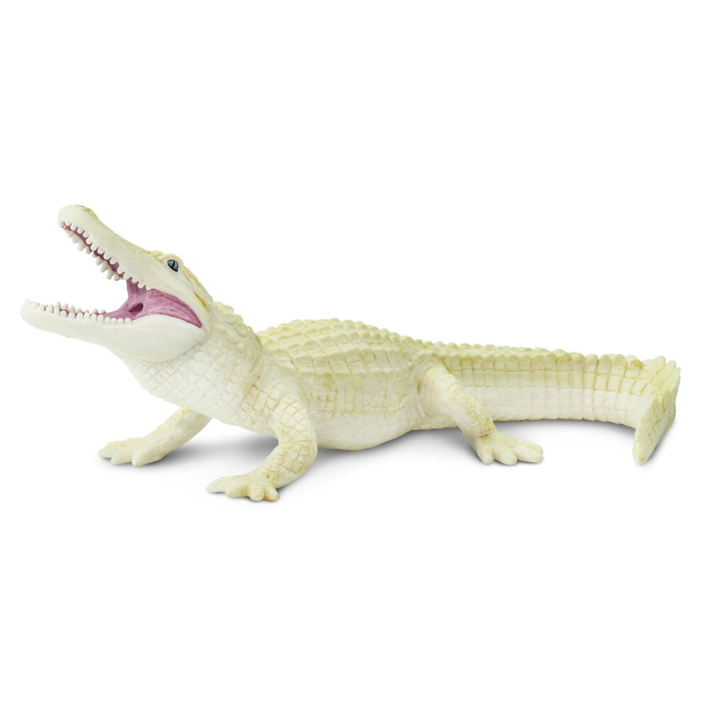 Safari Ltd. White Alligator Figurine - Realistic 6"" Hand-Painted Wild