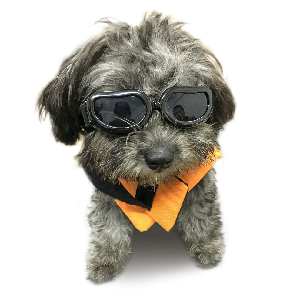Enjoying Dog Sunglasses Small Breed Dogs Goggles Uv Protection Eye Wea