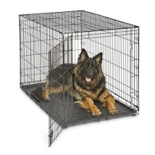 New World Newly Enhanced Single Door New World Dog Crate Includes Lea