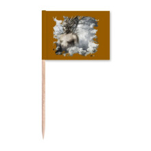 Pritive God Cosmos Regeneration Toothpick Flags Marker Topper Party Decoration