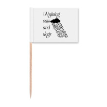 Rainstorm Common Knowledge English Language Culture Toothpick Flags Marker Topper Party Decoration
