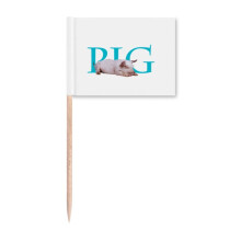 Restaurant Business Pig Food Type Toothpick Flags Marker Topper Party Decoration