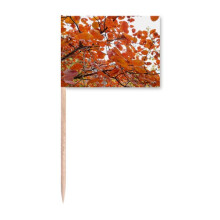 red  autumn art deco  fashion toothpick flags marker topper party decoration