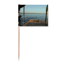 Sea Level Art Deco  Fashion Toothpick Flags Marker Topper Party Decoration