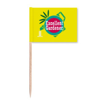 Teacher Hardworking Great Gardener Toothpick Flags Marker Topper Party Decoration
