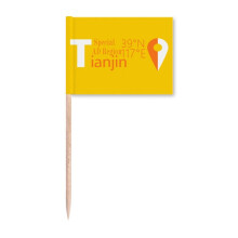 Tianjing Geography Coordinates Trave Toothpick Flags Marker Topper Party Decoration