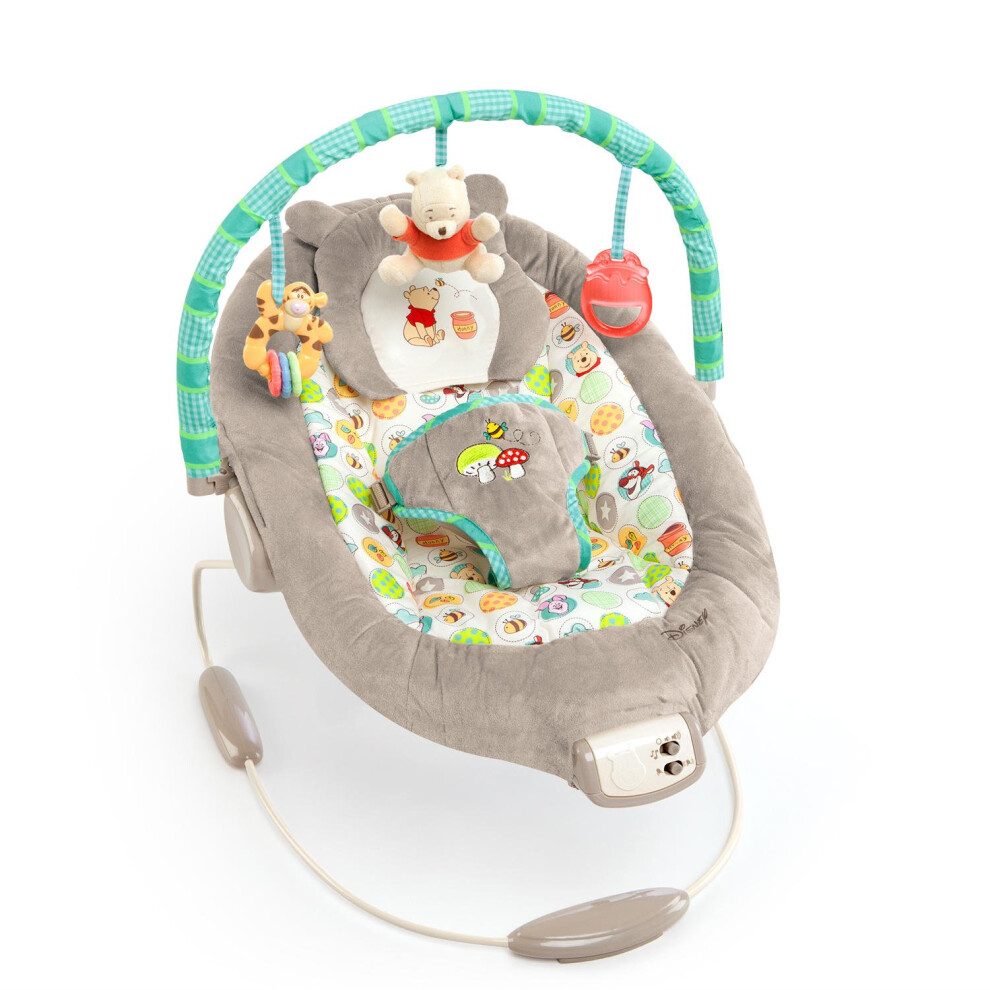 Bright Starts Disney Baby Winnie the Pooh Baby Bouncer Soothing Vibrat