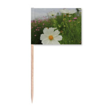 White Cosmos Art Deco  Fashion Toothpick Flags Marker Topper Party Decoration