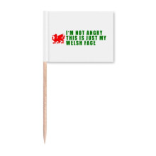 Welsh Face Emotional Culture Toothpick Flags Marker Topper Party Decoration