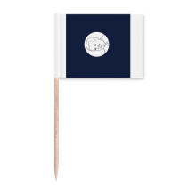 United States President Joe Person Blue Flag Toothpick Flags Marker Topper Party Decoration