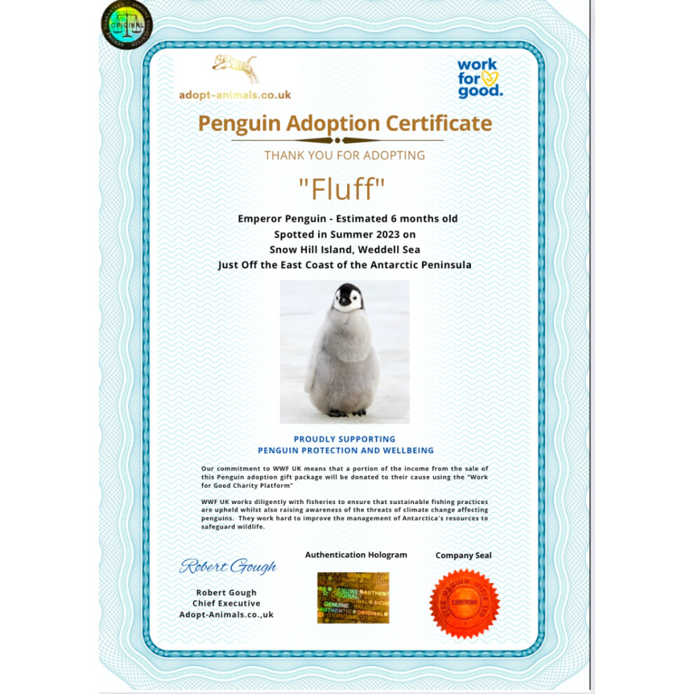 Adopt a Penguin Gift Package