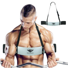 Arm Blaster for Biceps & Triceps Dumbbells & Barbells Curls Muscle Bui