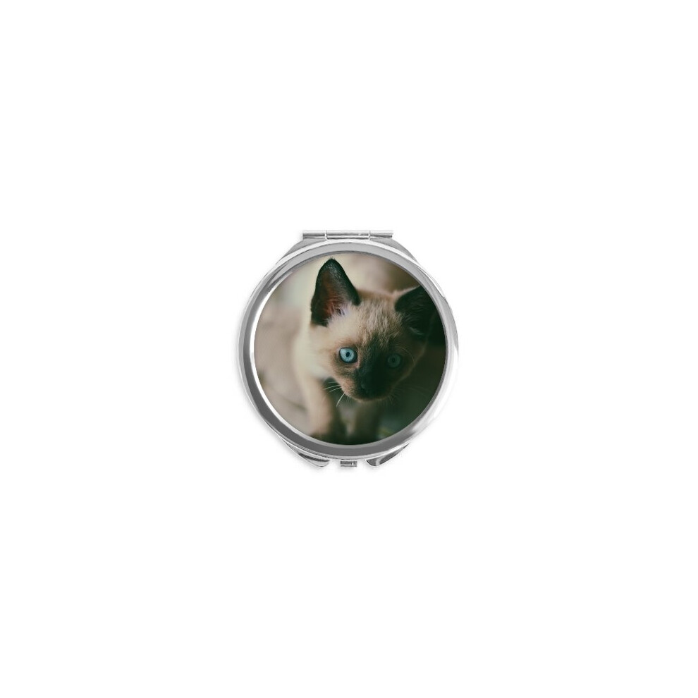 Diythinker Blue/Gray Animal Eye Kitten Photograph Hand Compact Mirror Round Portable Pocket Glass