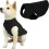 Gooby Stretch Fleece Vest Dog Sweater - Black  Medium - Warm Pullover 1