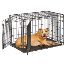 MidWest Homes for Pets Dog Crate Life Stages 36' Double Door Folding M