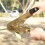 Outsunny Ninja Warrior Obstacle Course for Kids 46FT Slackline Kit 8