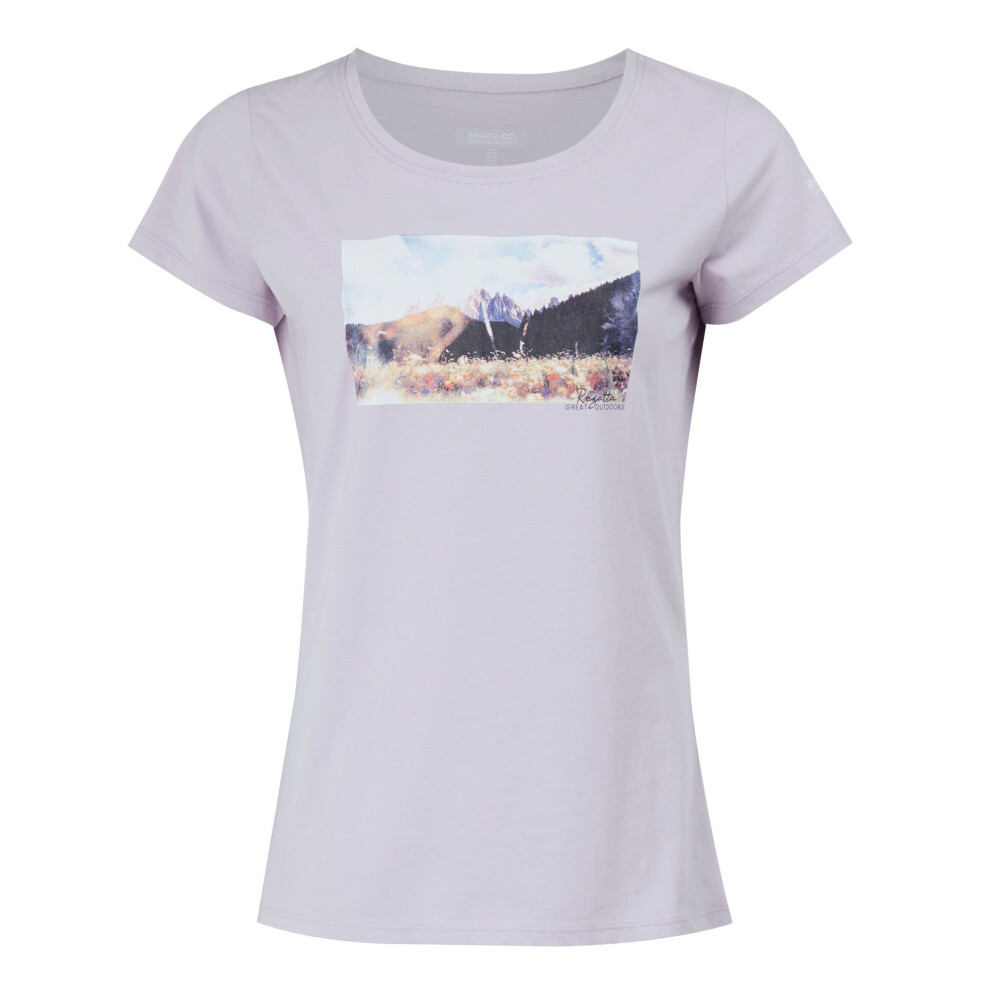 (14 UK, Lilac Frost) Regatta Womens/Ladies Breezed IV Mountain T-Shirt