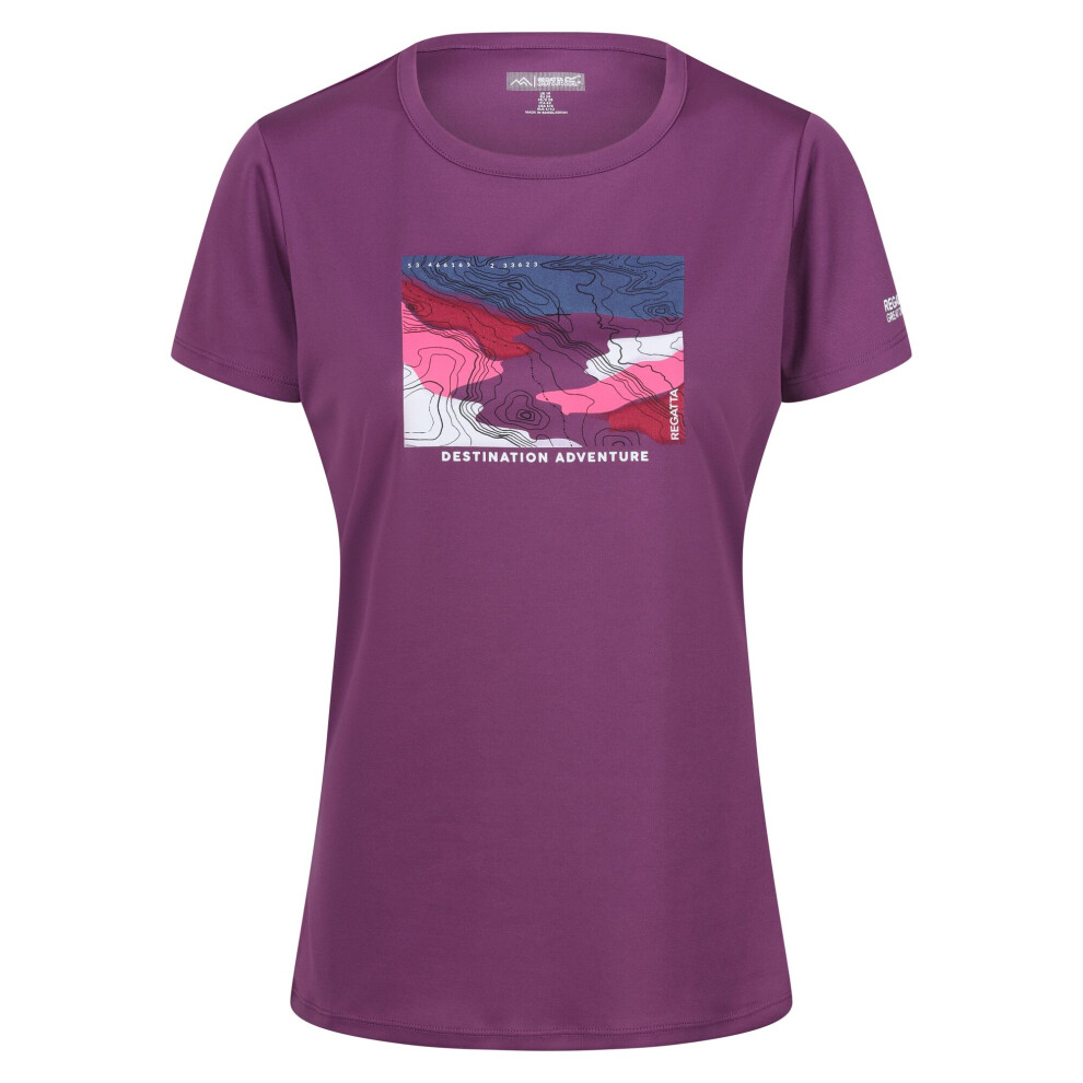 (10 UK, Sunset Purple) Regatta Womens/Ladies Fingal VIII Terrain Print T-Shirt