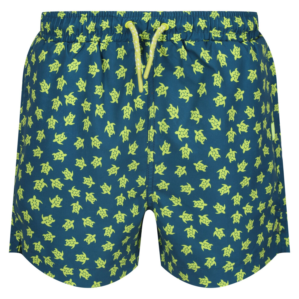 (5-6 Years, Moroccan Blue) Regatta Boys Skander III Turtle Swim Shorts