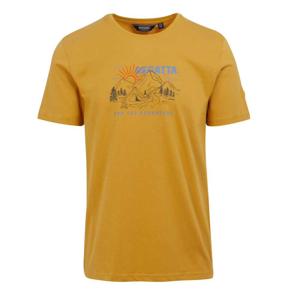 (5XL, Gold Straw) Regatta Mens Cline VIII Adventure Sunset T-Shirt