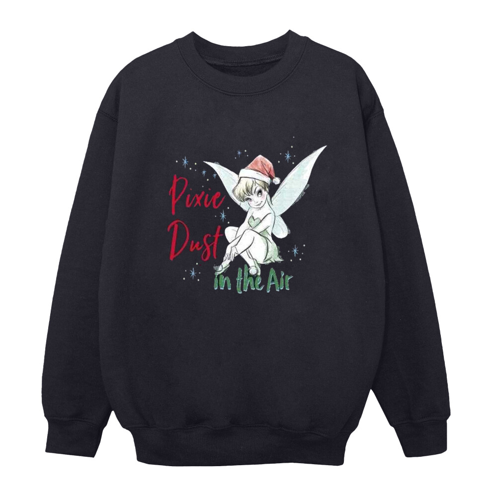 Tinker Bell Pixie Dust Sweatshirt