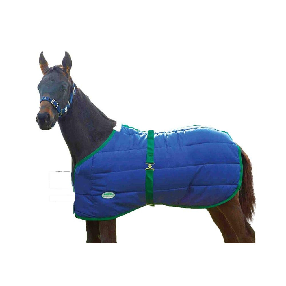 WeatherBeeta 420D Foal Standard Neck Medium Horse Blanket  Navy/Hunter