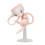 Pokémon Set de Figurines Pokémon 2 Pack Mew et Mewtwo Prêt à l'Action 3