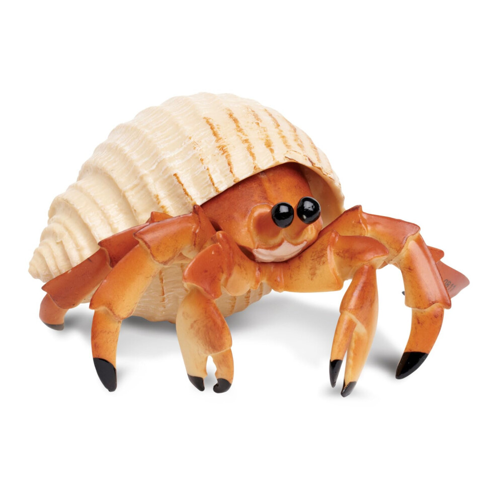 Safari Ltd. Hermit Crab Figurine - Detailed 4.5"" Model Figure - Educa