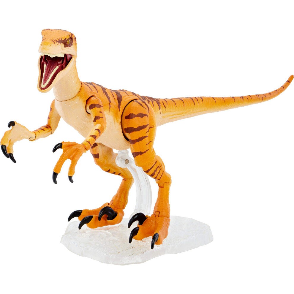 Mattel Jurassic World Toys Amber Collection Tiger Velociraptor 6-in Di