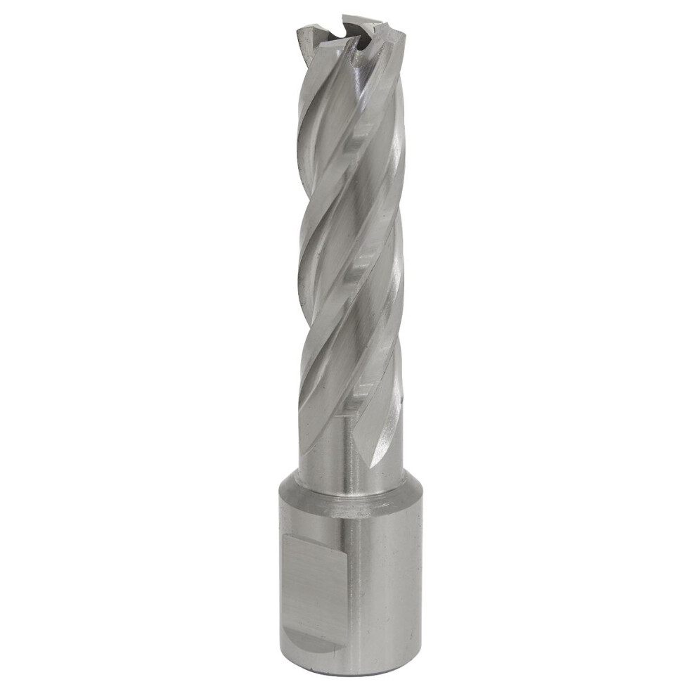 Sealey Worksafe® 15mm HSS Mag Drill Bit Cut Depth 50mm RBHSS15L