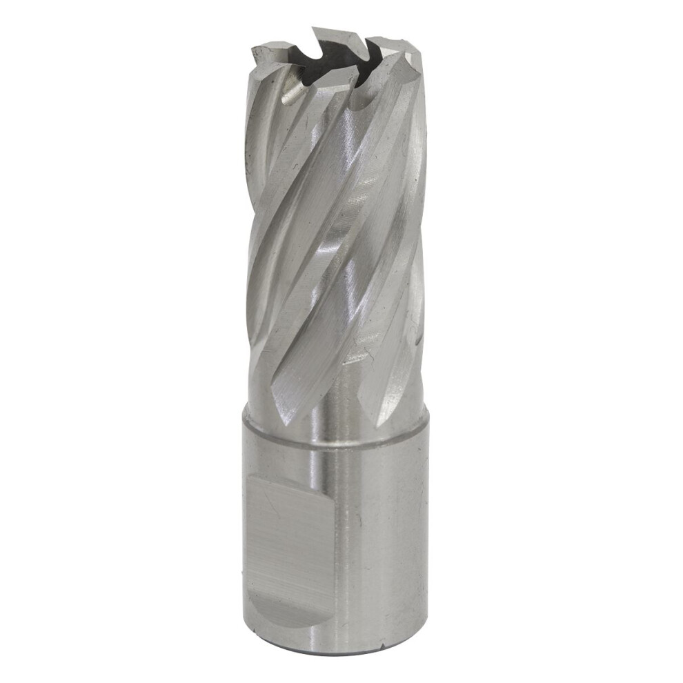 Sealey Worksafe® 18Mm Hss Mag Drill Bit Cut Depth 25Mm Rbhss18s