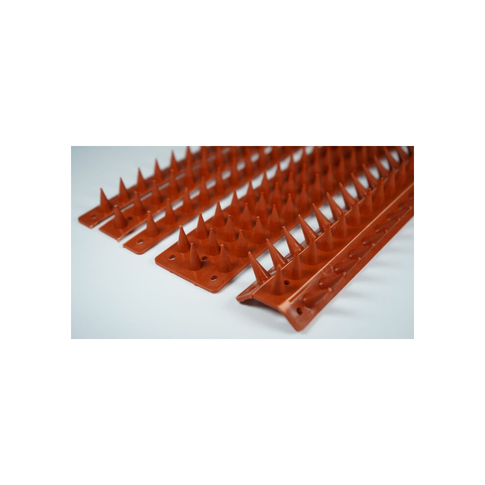Bloom In Box (4 Pack - 20M, Terracotta) Prikkastrip Fence Wall Spikes Garden Security