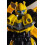 Transformers Classic Class Bumblebee 02 Rise of the Beasts 7