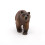 Papo """" Pyren?er Bear Figur 4