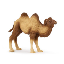 Papo -hand -malet - figur -Wild Animal Kingdom - Bactrian Camel -50129 -opsamlet - til b?rn - egnet til drenge og piger - fra 3 ?r gamle