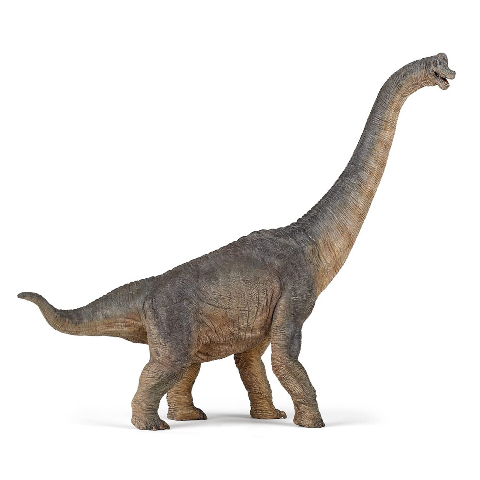 Papo The Dinosaur Figure  Brachiosaurus   31cm