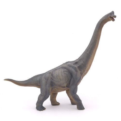 Papo The Dinosaur Figure  Brachiosaurus   31cm 2